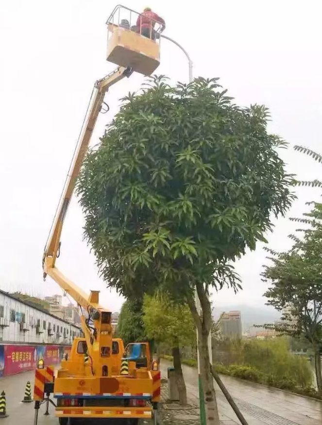 &#40857;&#56;&#45;&#108;&#111;&#110;&#103;&#56;&#40;&#20013;&#22269;&#41;&#21807;&#19968;&#23448;&#26041;&#32593;&#31449;&#45;&#31185;&#25216;&#39046;&#33322;&#31449;